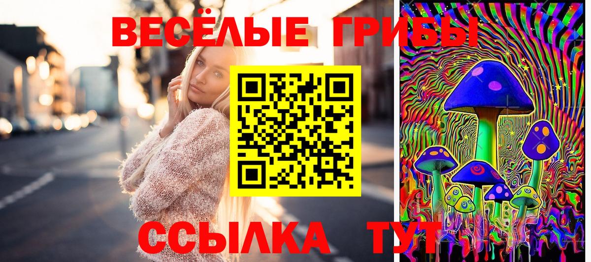Чусовой  Галлюциногенные грибы мицелий  Вход с VPN 