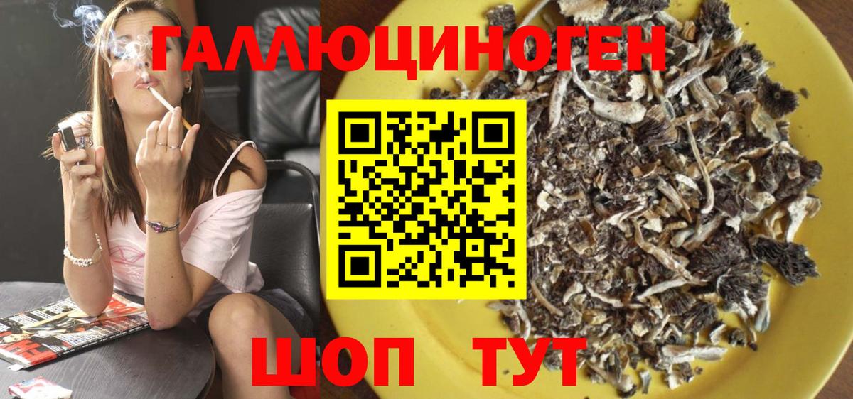 Галлюциногенные грибы GOLDEN TEACHER Чусовой